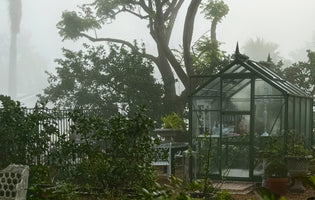 Rhino Greenhouse Survives Category 4 Hurricane in Florida