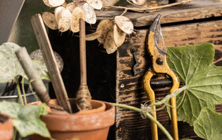 Ultimate Guide to Maintaining your Garden Tools