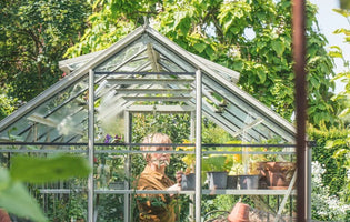 What’s the difference between a greenhouse and a glasshouse?