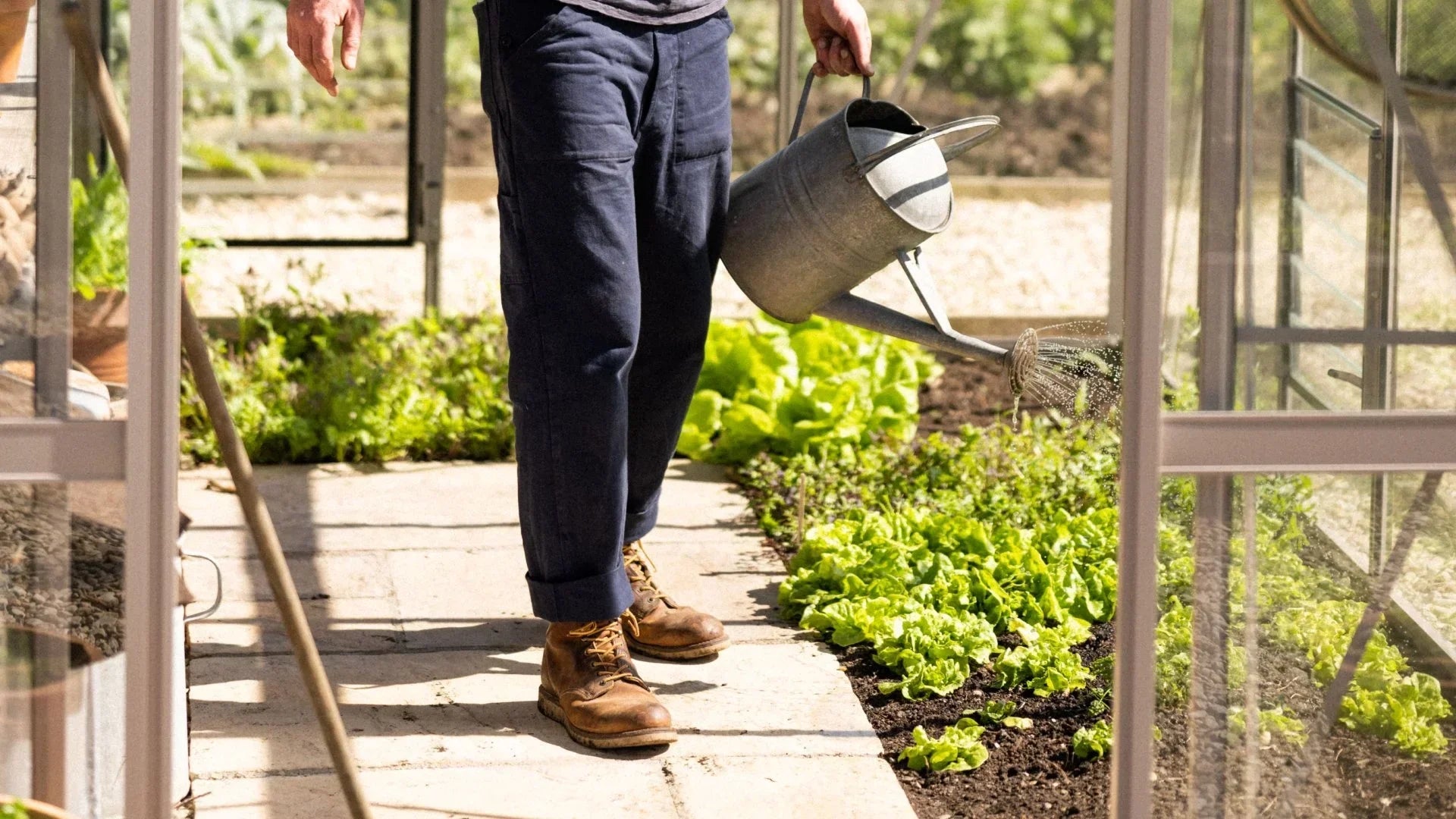 What to grow in my greenhouse in March